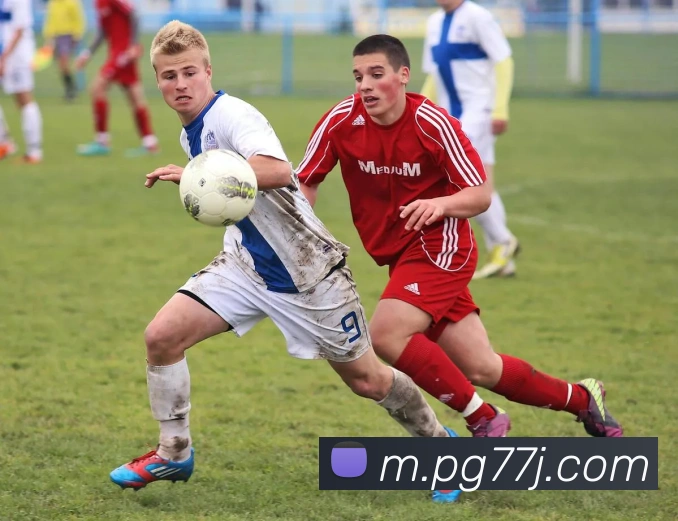 pg电子平台生态图